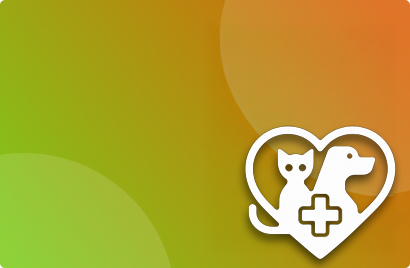 Homepage | Careplus Compounding